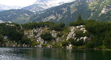 Le parc Bulgare national de Pirin