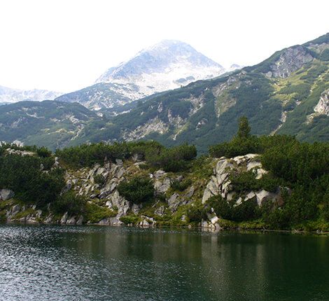 Le parc national de Pirin